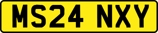 MS24NXY
