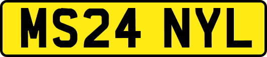 MS24NYL