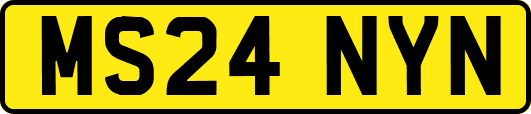 MS24NYN