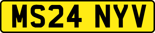 MS24NYV