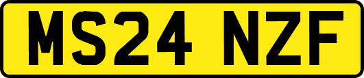 MS24NZF