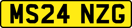 MS24NZG