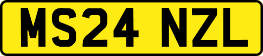 MS24NZL