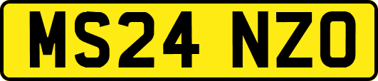 MS24NZO