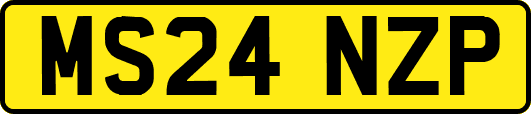 MS24NZP