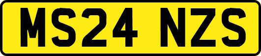 MS24NZS