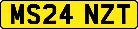 MS24NZT