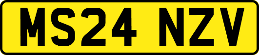 MS24NZV