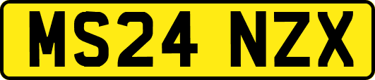 MS24NZX