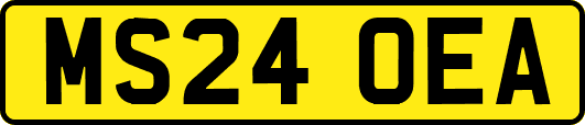 MS24OEA