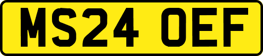 MS24OEF