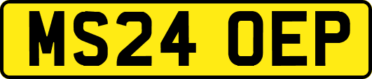 MS24OEP