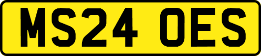 MS24OES