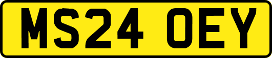 MS24OEY