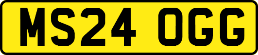 MS24OGG