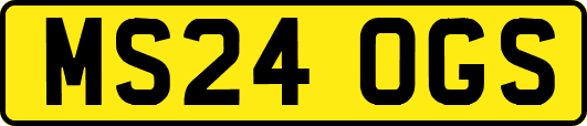 MS24OGS