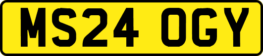 MS24OGY