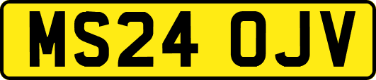 MS24OJV