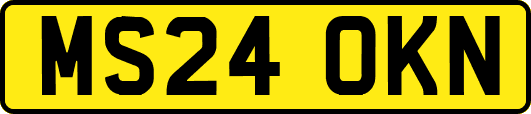 MS24OKN