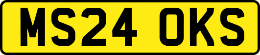 MS24OKS