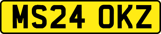 MS24OKZ