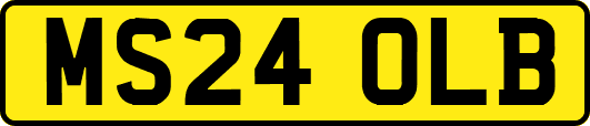 MS24OLB