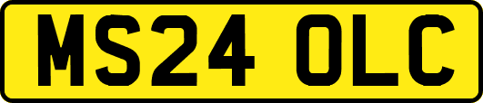 MS24OLC