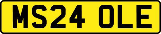 MS24OLE