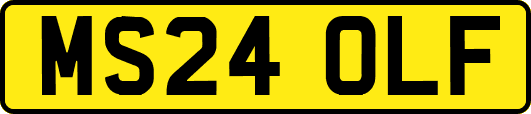 MS24OLF