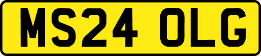 MS24OLG