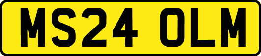 MS24OLM