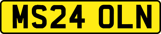 MS24OLN