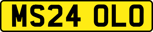 MS24OLO