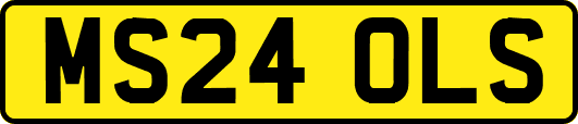 MS24OLS