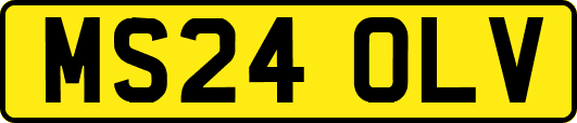 MS24OLV