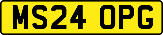 MS24OPG