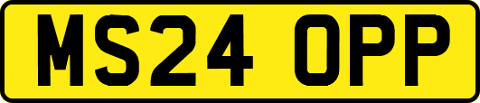 MS24OPP