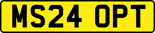 MS24OPT