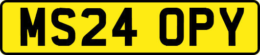 MS24OPY