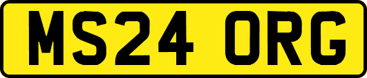 MS24ORG
