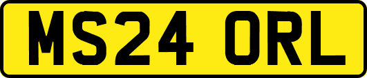 MS24ORL