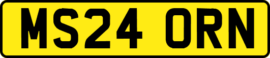 MS24ORN