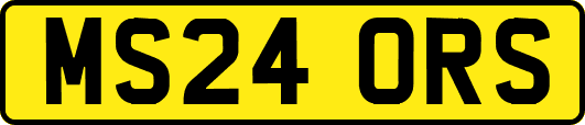 MS24ORS