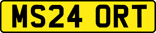 MS24ORT