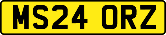 MS24ORZ