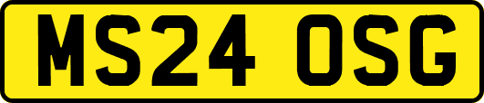 MS24OSG