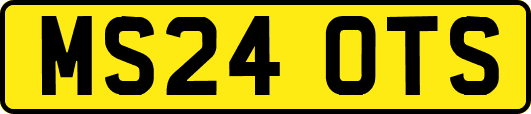 MS24OTS