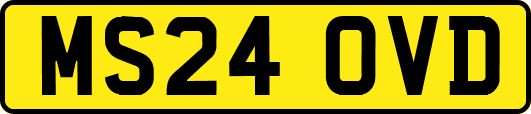 MS24OVD