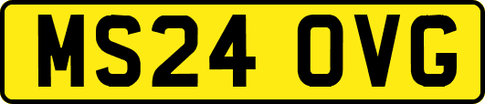 MS24OVG