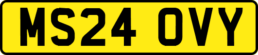 MS24OVY